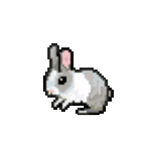 Rabbit Hole Animation